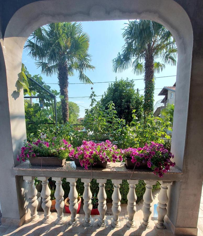 Apartman Palma Marinici  Экстерьер фото