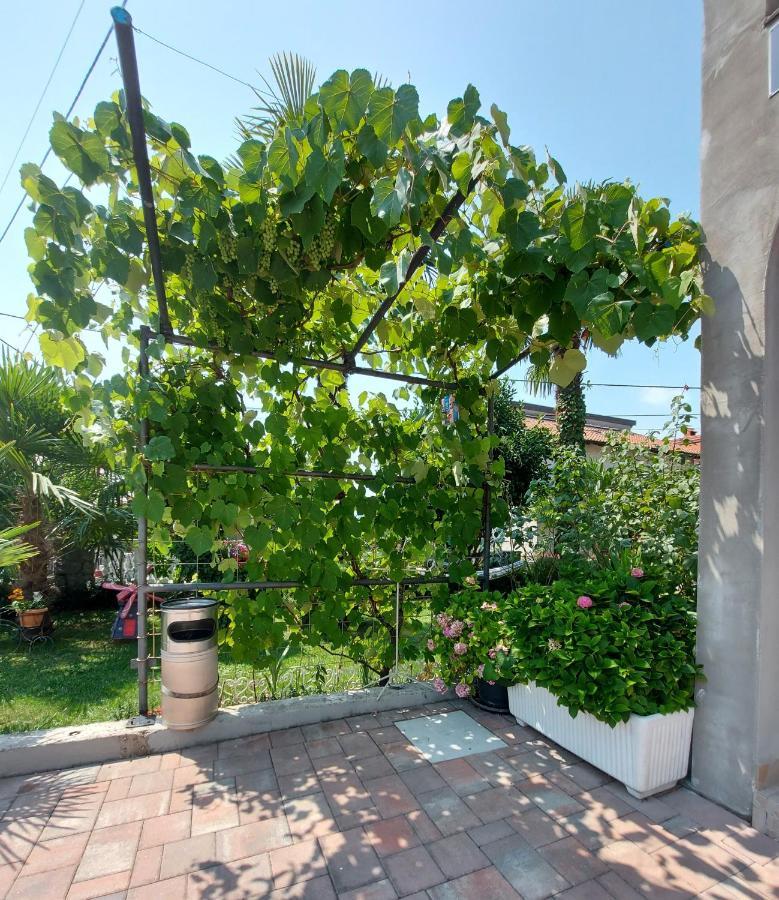 Apartman Palma Marinici  Экстерьер фото